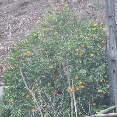 Casa Do Alto Terras de Bouro