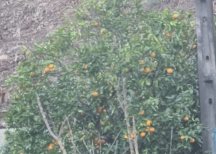 Casa Do Alto Terras de Bouro